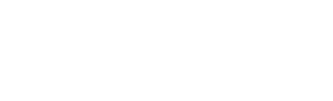white citywide logo